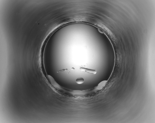 X0000093600894200710151219