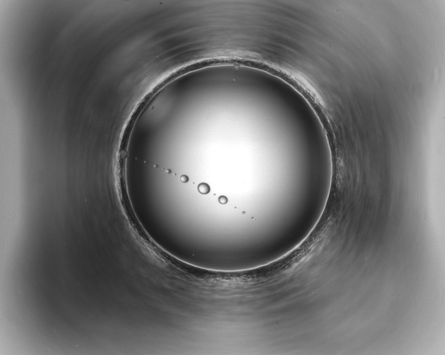 X0000093600895200710151219