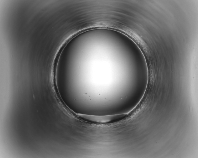 X0000093600896200710151219