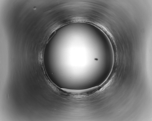 X0000093600897200710151219