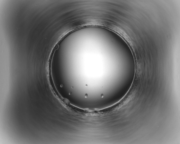 X0000093600898200710151219