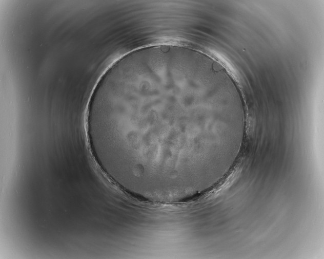 X0000093600899200710151219