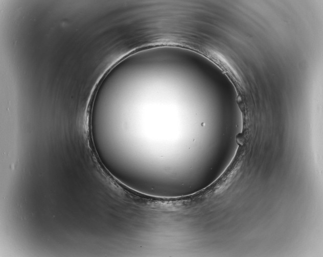 X0000093600900200710151219