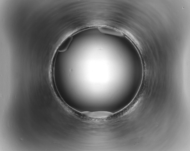 X0000093600901200710151219