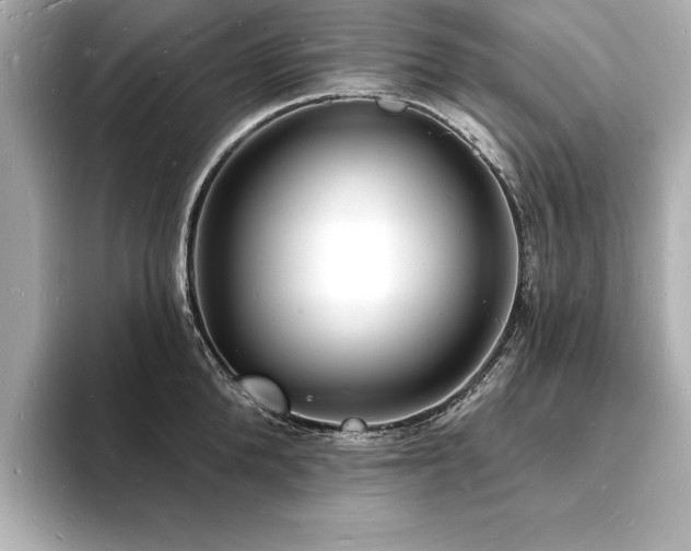 X0000093600904200710151219
