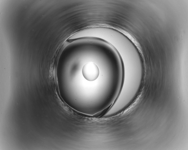 X0000093600905200710151219