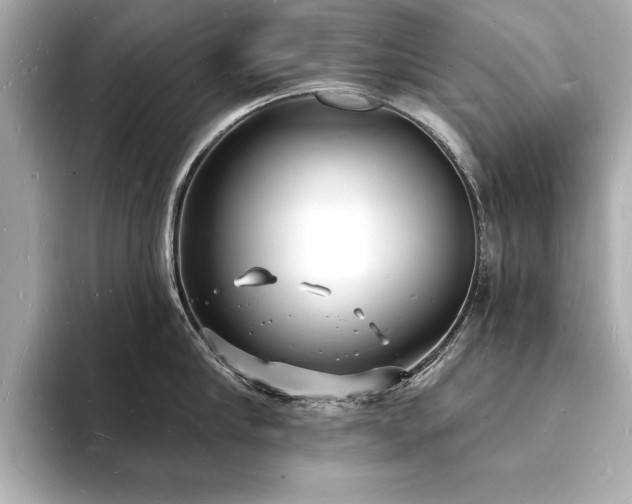 X0000093600910200710151218