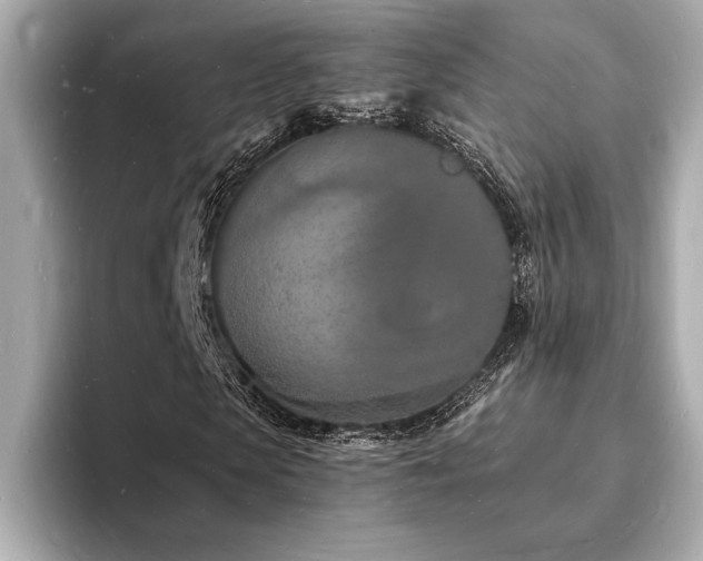X0000093600913200710151218