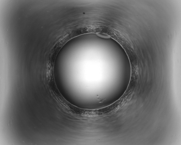 X0000093600914200710151218