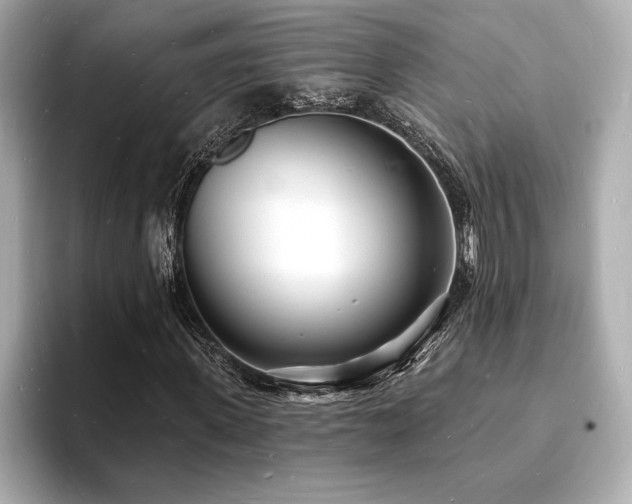 X0000093600915200710151218