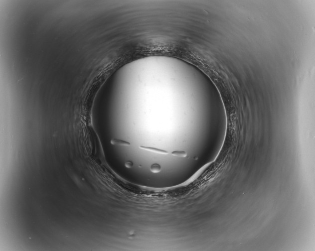 X0000093600916200710151218