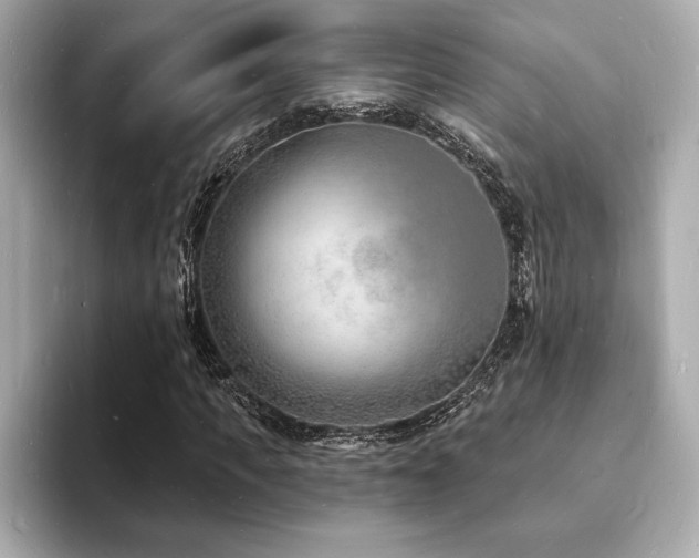 X0000093600917200710151218