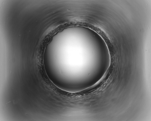 X0000093600919200710151218