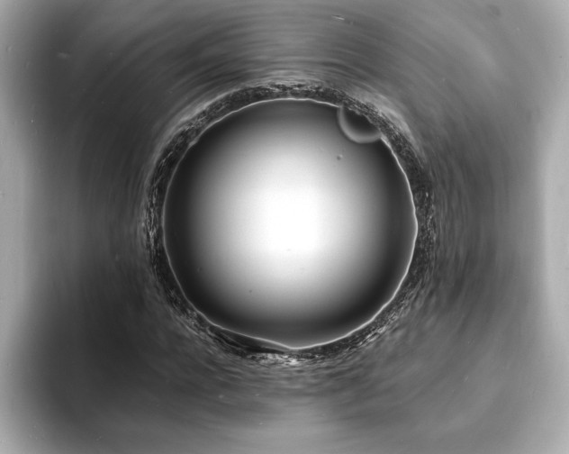 X0000093600920200710151218