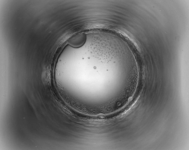 X0000093600921200710151218