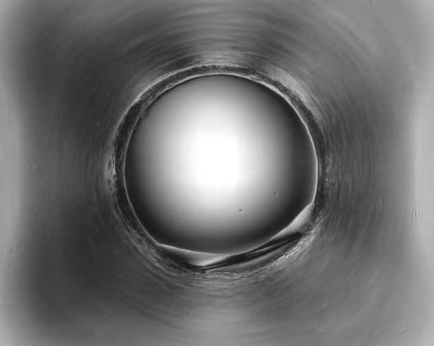 X0000093600923200710151218