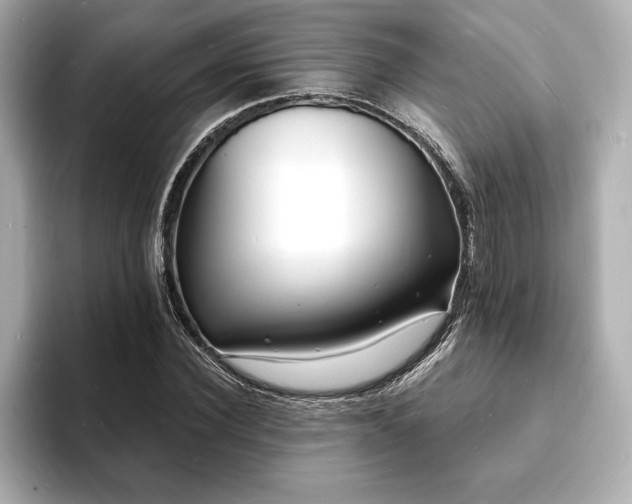 X0000093600924200710151218