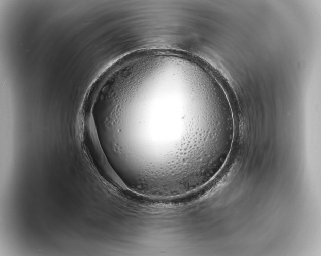 X0000093600925200710151218