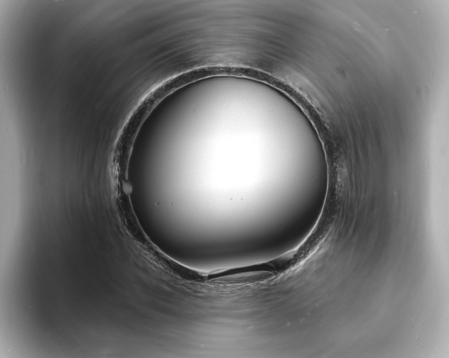 X0000093600926200710151218