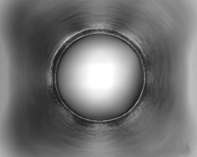 X0000093600927200710151218