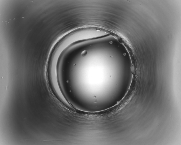 X0000093600928200710151218