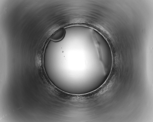 X0000093600929200710151218
