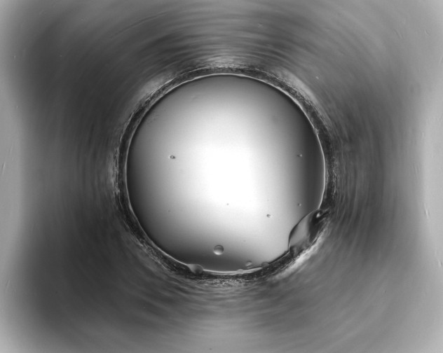 X0000093600930200710151218