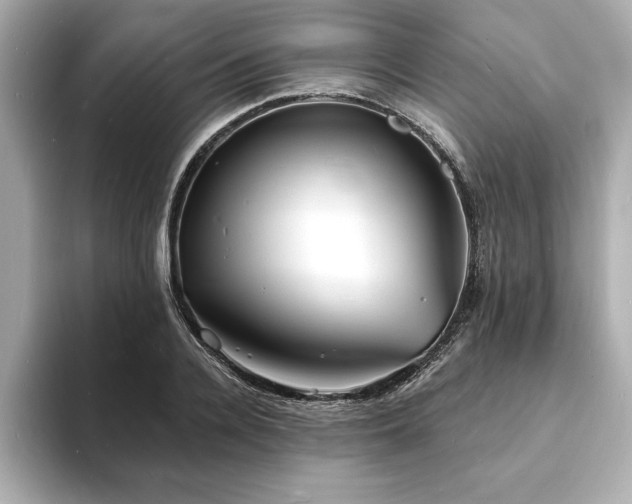 X0000093600936200710151218
