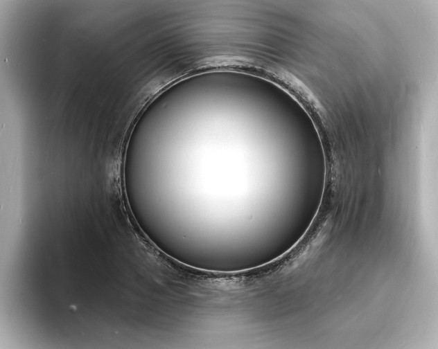 X0000093600937200710151218