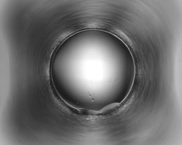X0000093600938200710151218