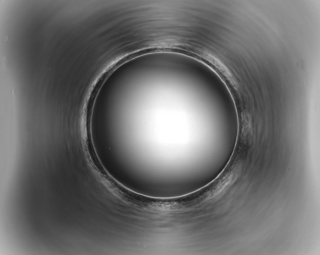 X0000093600939200710151218