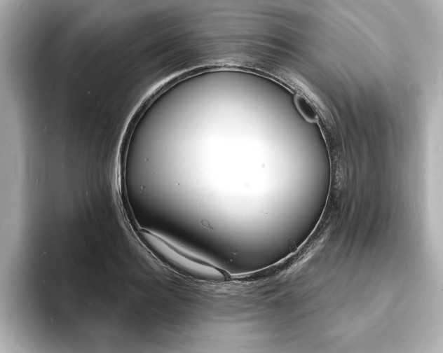 X0000093600940200710151218