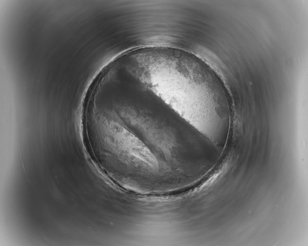 X0000093600941200710151218