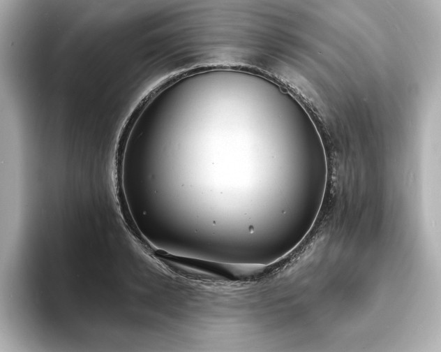 X0000093600942200710151218