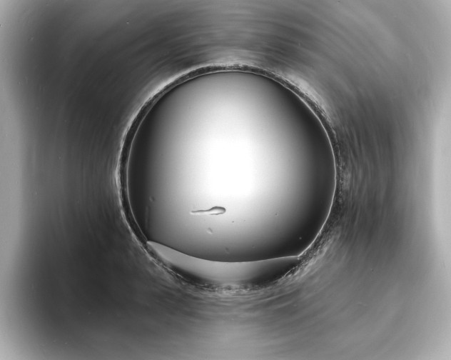 X0000093600943200710151218