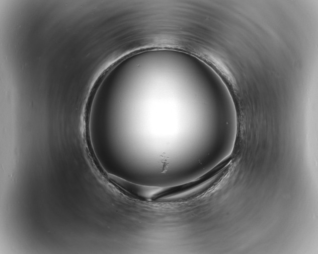 X0000093600944200710151218