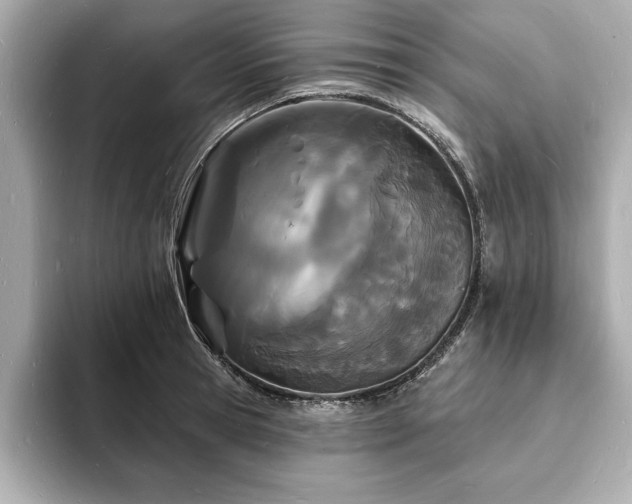 X0000093600945200710151218