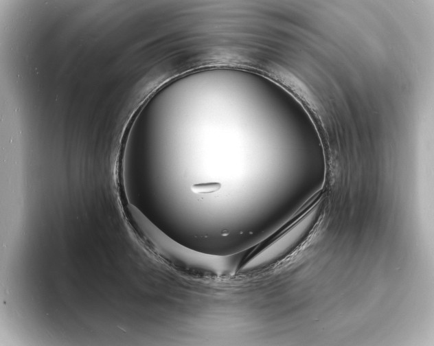 X0000093600946200710151218