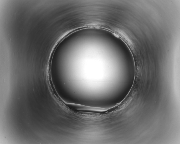 X0000093600948200710151218