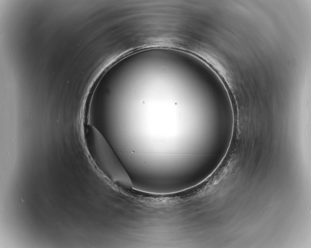 X0000093600949200710151218