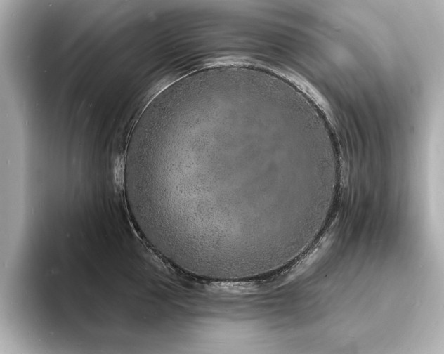 X0000093600953200710151218