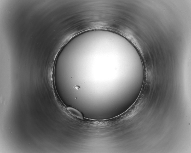 X0000093600954200710151218
