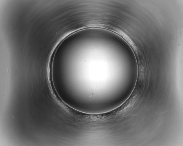 X0000093600955200710151218