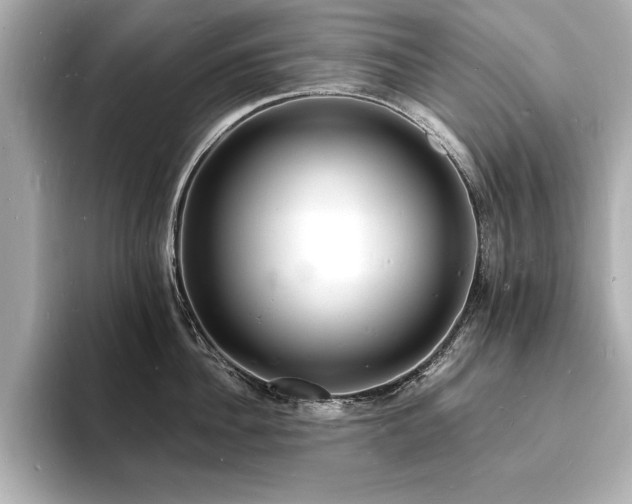 X0000093600956200710151218