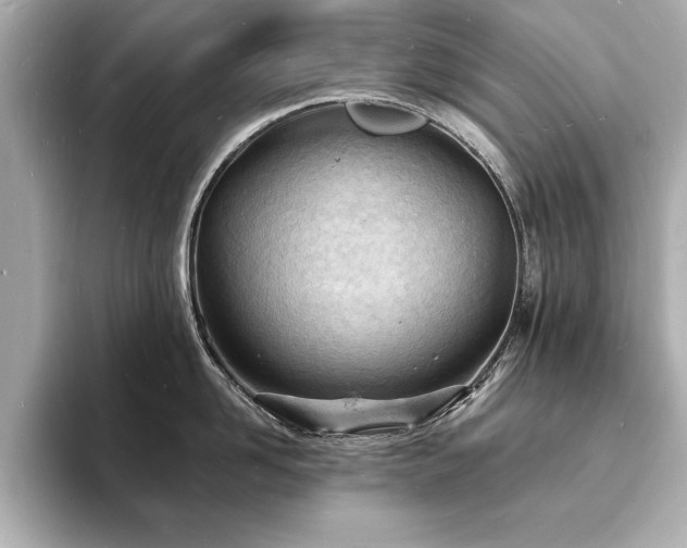 X0000093600958200710151218
