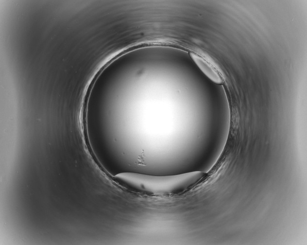 X0000093600959200710151218