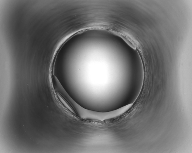 X0000093600960200710151218