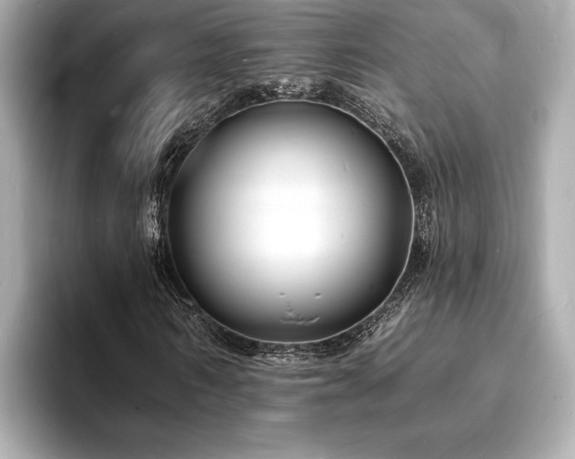 X0000093600962200710151218