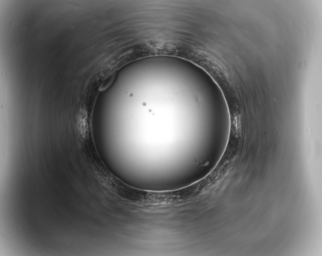 X0000093600963200710151218
