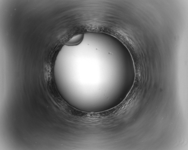 X0000093600964200710151218